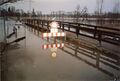 Hochwasser im <a class="mw-selflink selflink">Wiesengrund</a>, im Hintergrund die Allee am  im Februar 