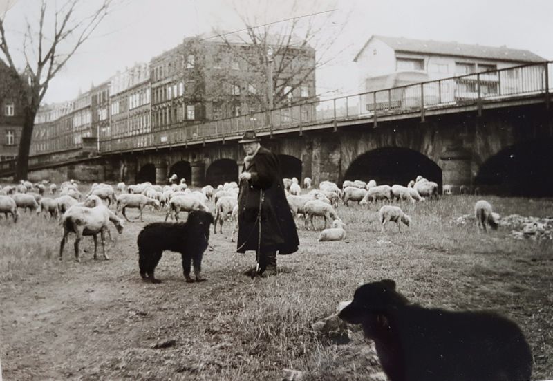 Datei:Ludwigsbrücke 16051962.jpg
