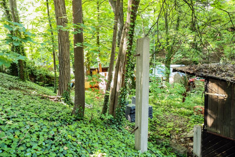 Datei:Wolfsschlucht Mai 2023 2.jpg