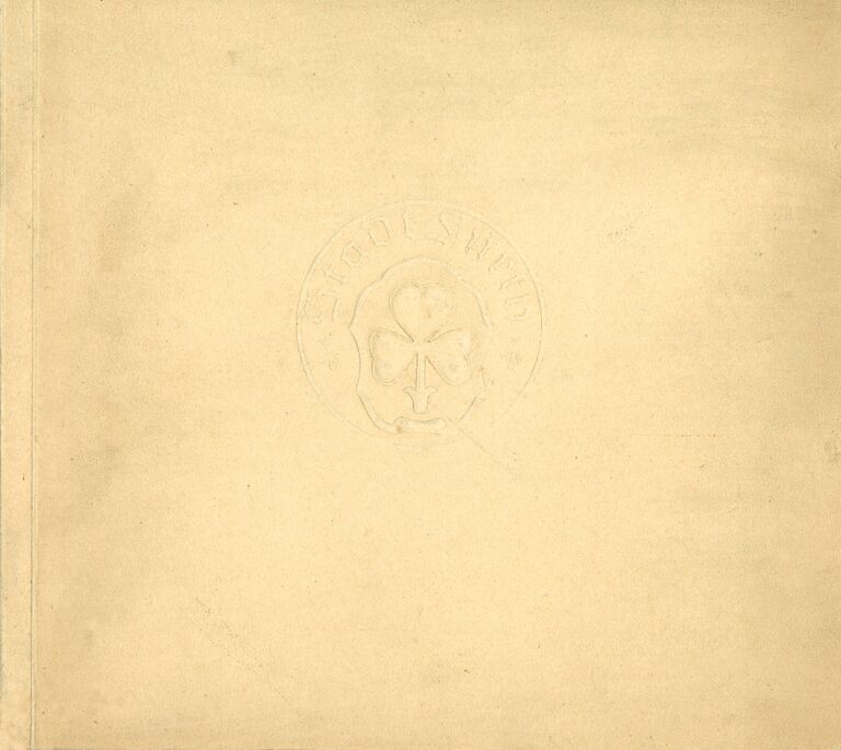 Bildbericht der Stadt Fürth (Buch).jpg