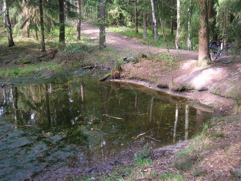 Datei:Scherbsgraben nördlicher Zufluss 2.JPG