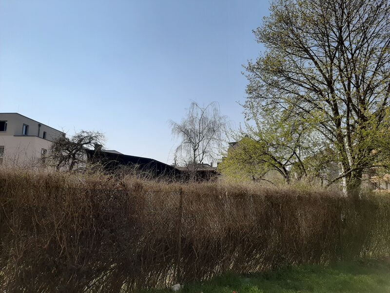 Datei:Holzstraße 52 Garten.jpg