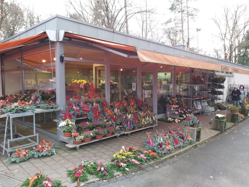 Datei:Blumen Hannweg Ronhof 4.jpg