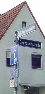 Spitzwiesenstraße Stadeln 2.2025.jpg