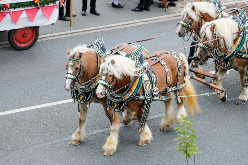 Datei:Erntedankfestzug Okt 2017 24.jpg