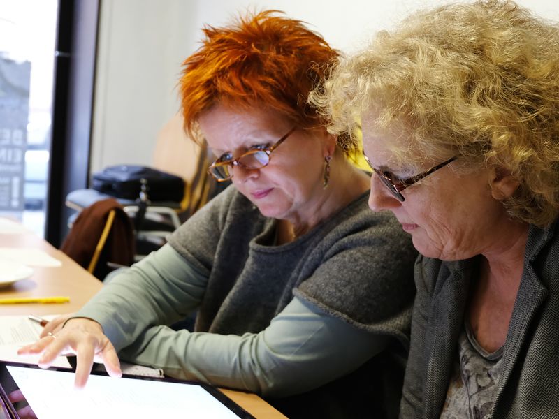 Datei:Fuchs Svoboda 2018.jpg