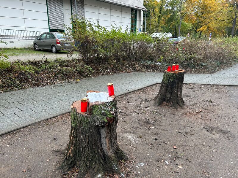 Datei:Anwohnerprotest HLG Nov 2023.jpg