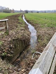 Stadtwiesengraben 1.jpeg