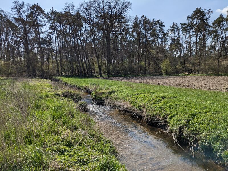 Datei:Bucher Landgraben b 20230406.jpg