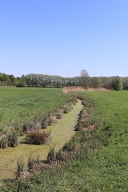 Wiesengrund Entwässerungsgraben 2.JPG