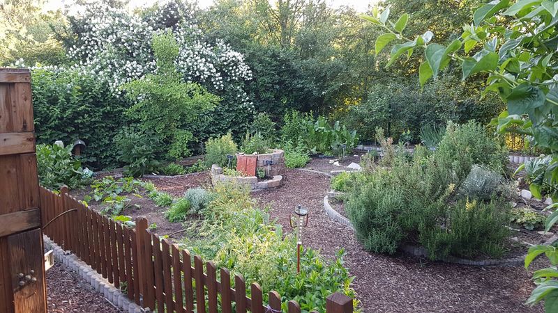 Datei:Kneipp-Verein Fürth, Garten 3.jpg