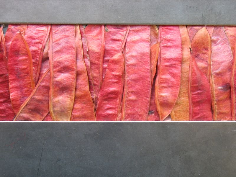 Datei:2006-10-22 11-32-15.jpg