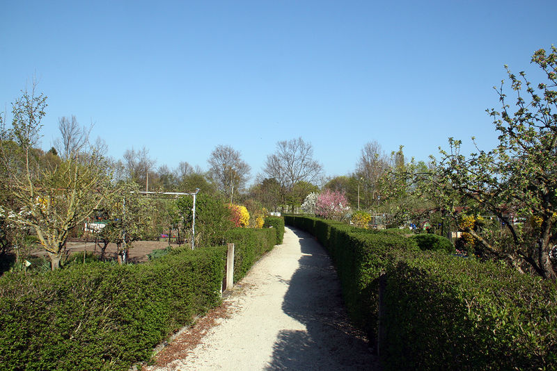 Datei:Kleingartenanlage Espan II.jpg