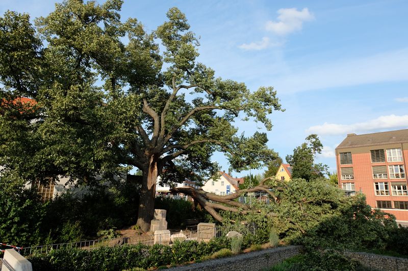 Datei:Martersäule Zerstörung 3.jpg