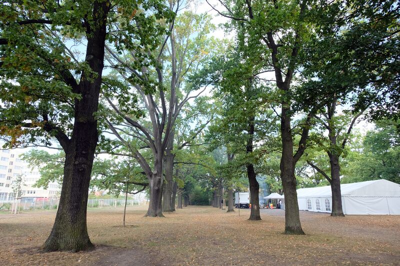 Datei:Eichenhain 2018 2.jpg