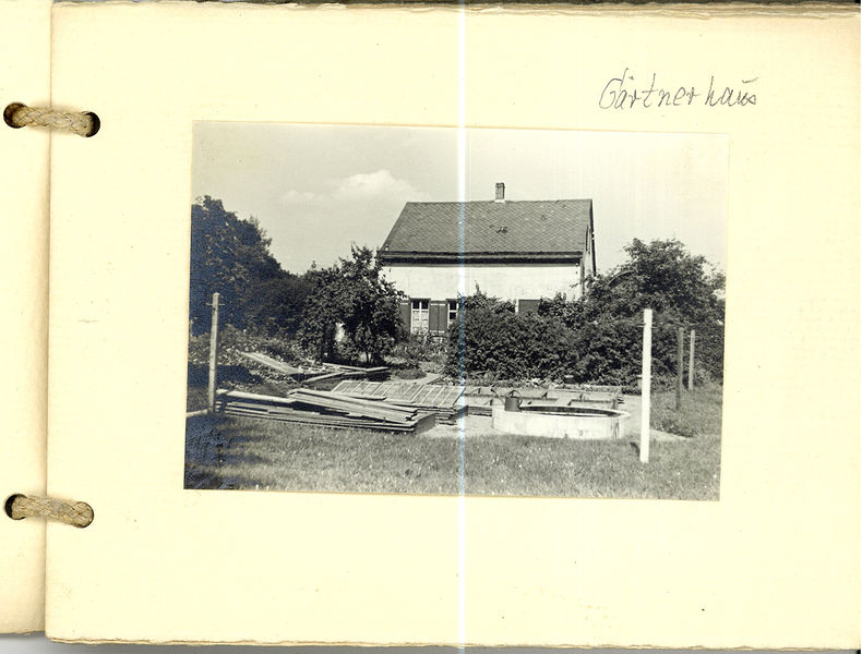 Datei:Grüner Park Blatt 7.jpg
