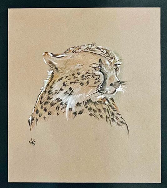 Datei:HK 1988 Gepard SH.jpg