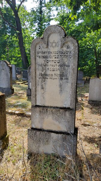 Datei:Hermann Strauss Grab.jpg