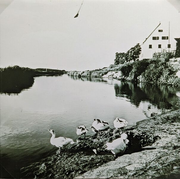 Datei:NL-FW 09 KP 804 Brünnla Stadeln.jpg