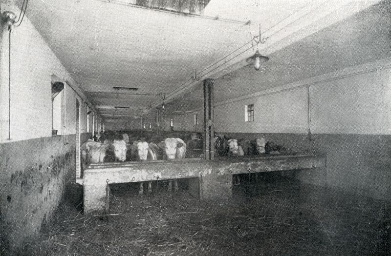 Datei:Bauernfreund Abb 2 Stallungen 1928.jpg