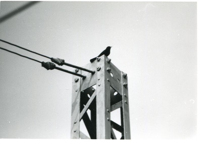 Datei:Bahnhof Vach 23.jpg