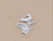 2026 01 02 Amalien- 68 (1).jpg