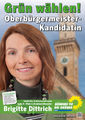 OB Kandidatin Bündnis 90/Die Grünen Brigitte Dittrich, Februar 2014