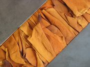 2006-10-22 11-31-48.jpg