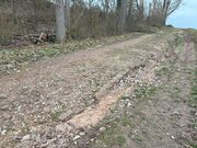 Egersdorfer Straße Bodendenkmal Mrz 2024 5.jpg