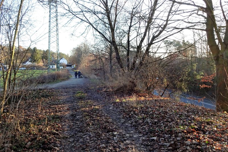 Datei:Stadelner Hard 5 2020.jpg