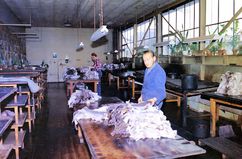 Datei:Streichraum, Lenzner Okt. 1974.jpg