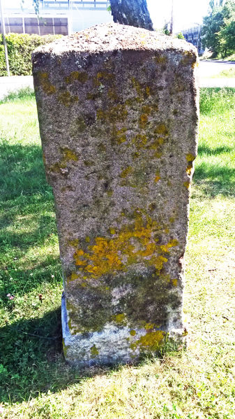 Datei:Luisenstein 2017.jpg