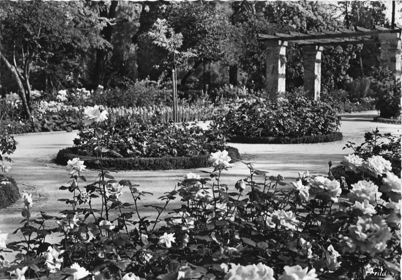 Datei:Stadtpark Postkarte (3).jpg