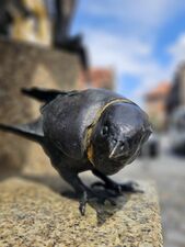 Gauklerbrunnen 2.jpg