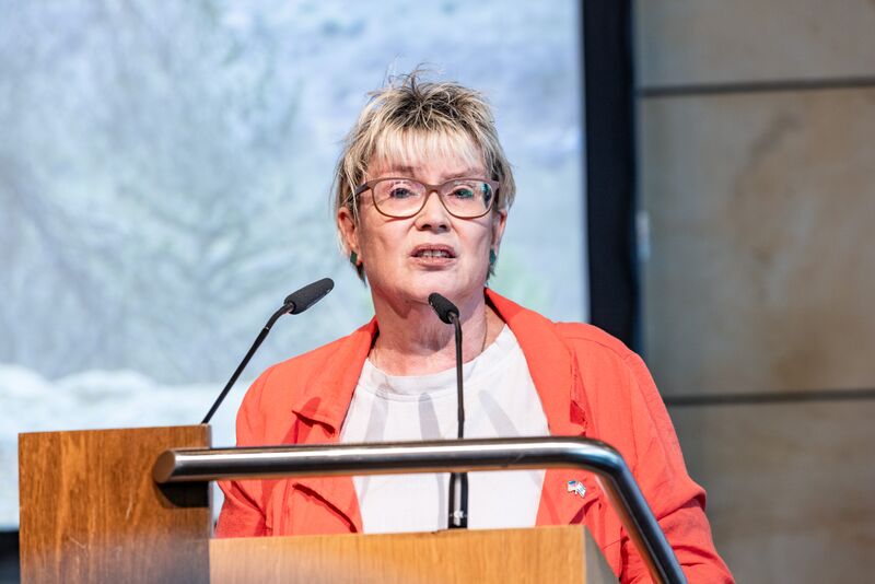 Datei:Israeltag Fürth Juli 2024 11.jpg