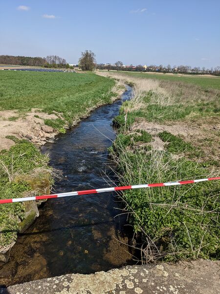 Datei:Bucher Landgraben a 20230406.jpg