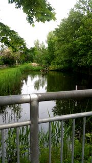 Schmalaugraben (2).jpg