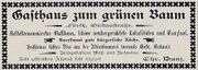 Zum grünen Baum 1898.jpg