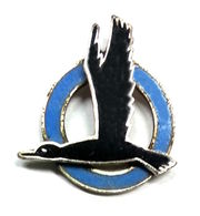 Anstecknadel Nordbayerische Verkehrsflug GmbH.jpg