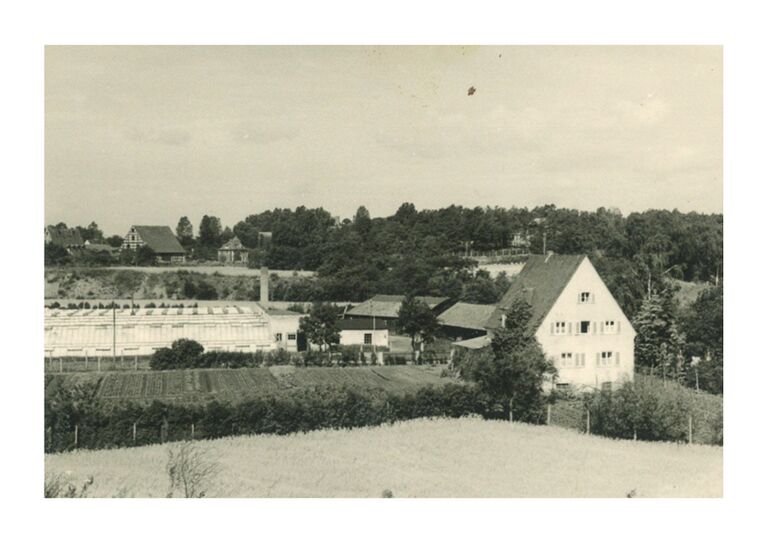 Gärtnerei Gumbmann alt.jpg