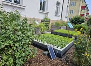 Garten Landwirtschaftsschule Gewächshaus Außenbepflanzung 2.jpg