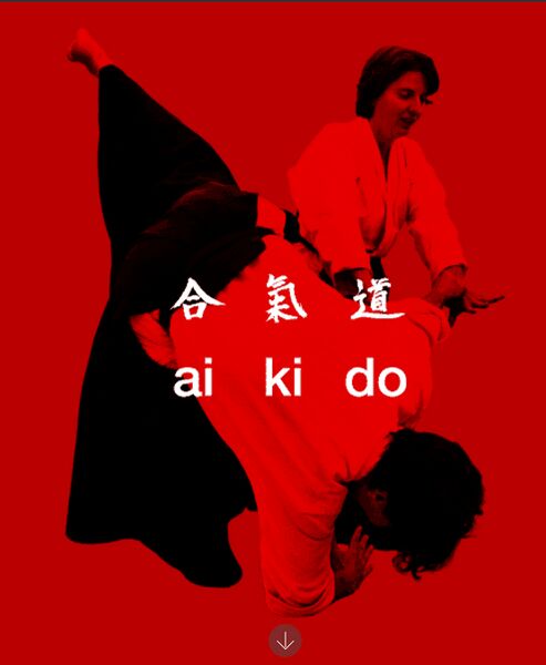 Datei:Logo Aikido Fürth.jpg