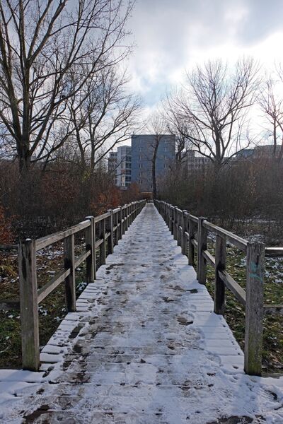 Datei:FROG-Steg Jan 2021 1.jpg