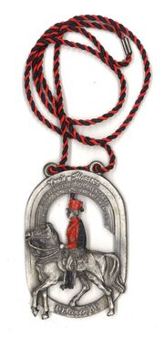 Faschingsorden THF 1986.jpg