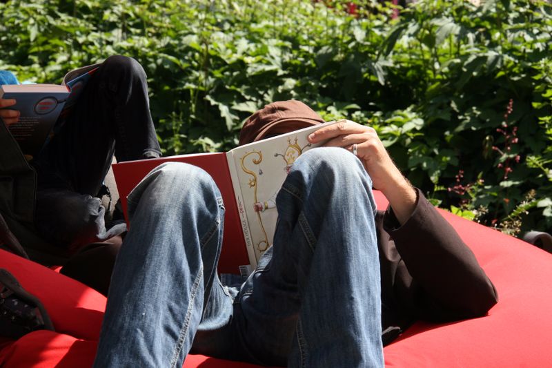 Datei:Lesen Juni 2013 3.jpg