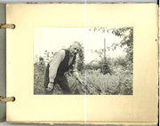 Grüner Park Blatt 4.jpg