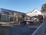 1A Blumen Strobel1.jpg