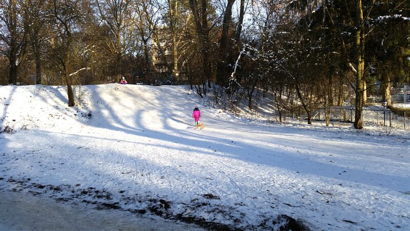 Datei:Rodelbahn bei der Ludwigbrücke.jpg