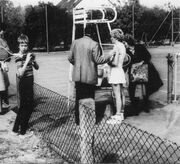 NL-FW 04 0314 KP Schaack Grün-Weiss 1976.jpg