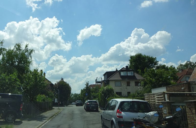 Datei:Orchideenstraße 2020.jpg